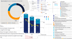 Nachhaltigkeit-Strategie-Geschaeftsmodell-Transformation-2501-4
